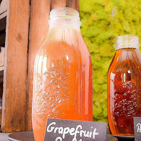 Plaza Design ホテル 4*